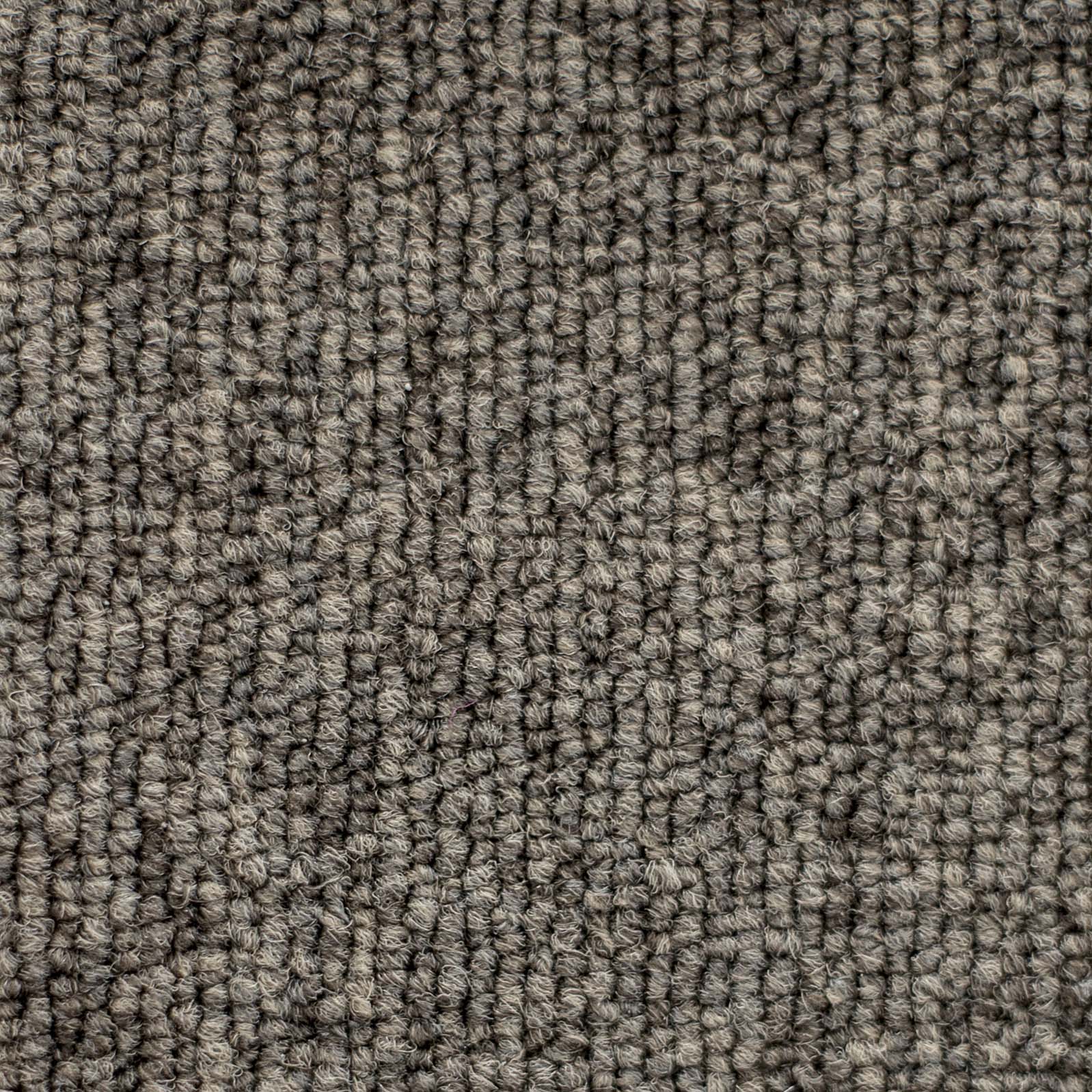 Ковролин "Зартекс" Daily 68 коричневый (4м) — купить в Ставрополе