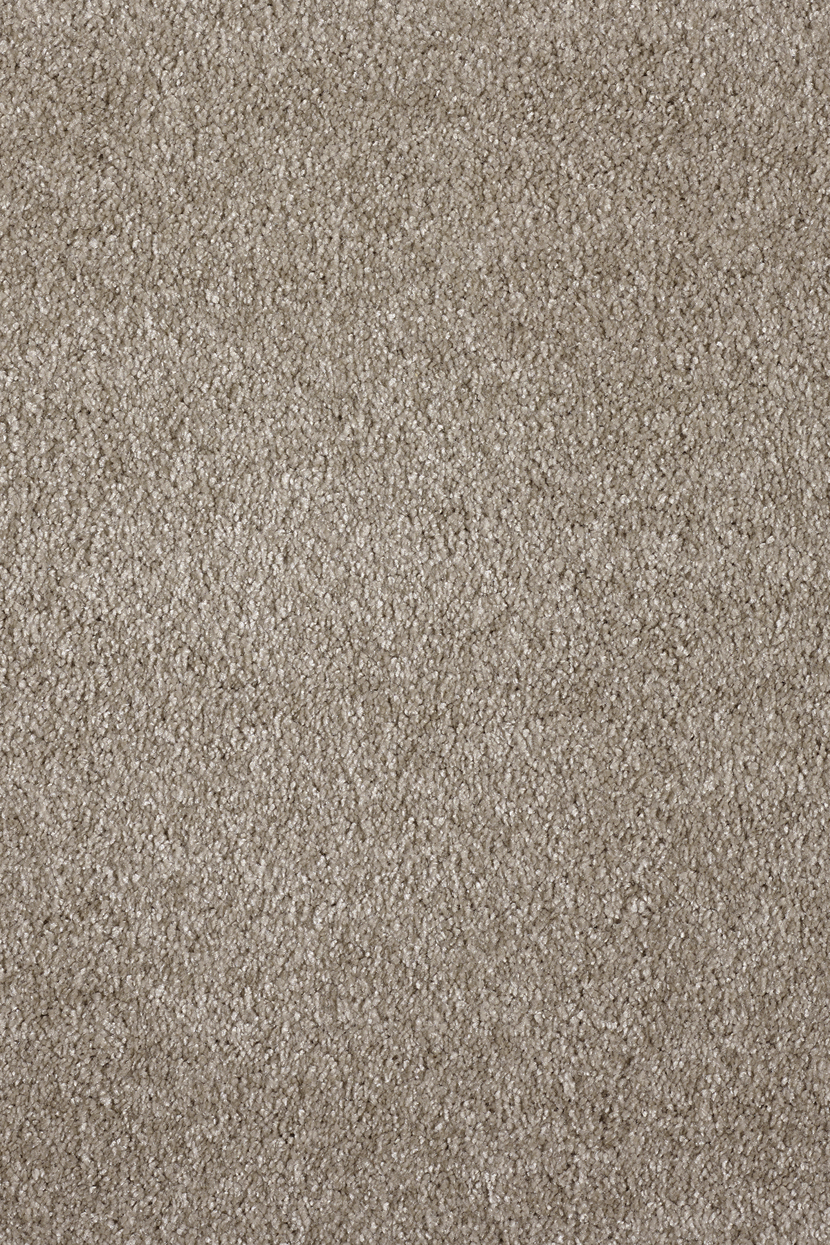 Ковровое покрытие "Bonkeel" Parana 34 (ширина 4м/5м) — купить в Ставрополе