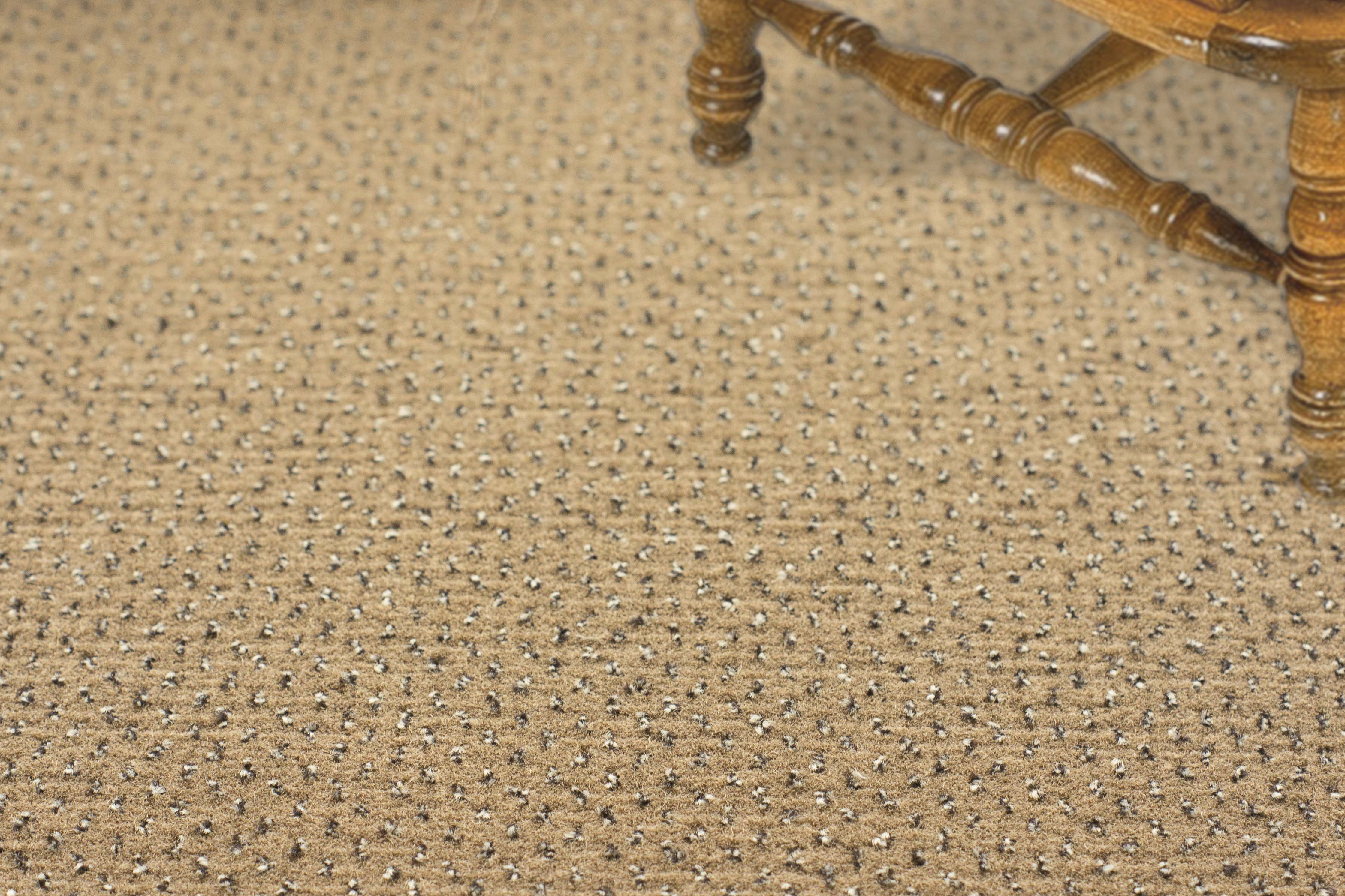 Ковролин "Зартекс" Eternity 142 бежевый (4м) — купить в Ставрополе